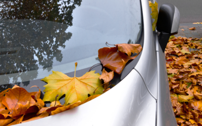 Preparación del coche para este (extraño) otoño.